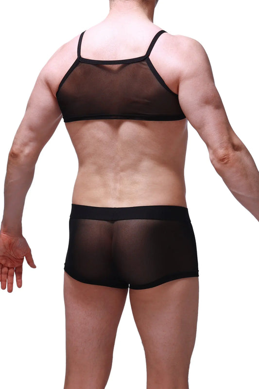 Black sheer mesh two-piece underwear set with black elastic trim in micro tank net black style