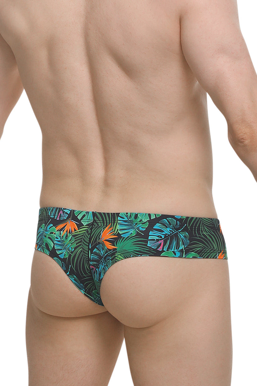PetitQ Mini Boxer Tropical