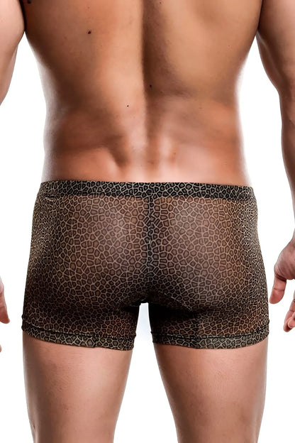Mob men’s boxer tull pouch print brown leopard-print mesh briefs showcasing lightweight breathable fabric