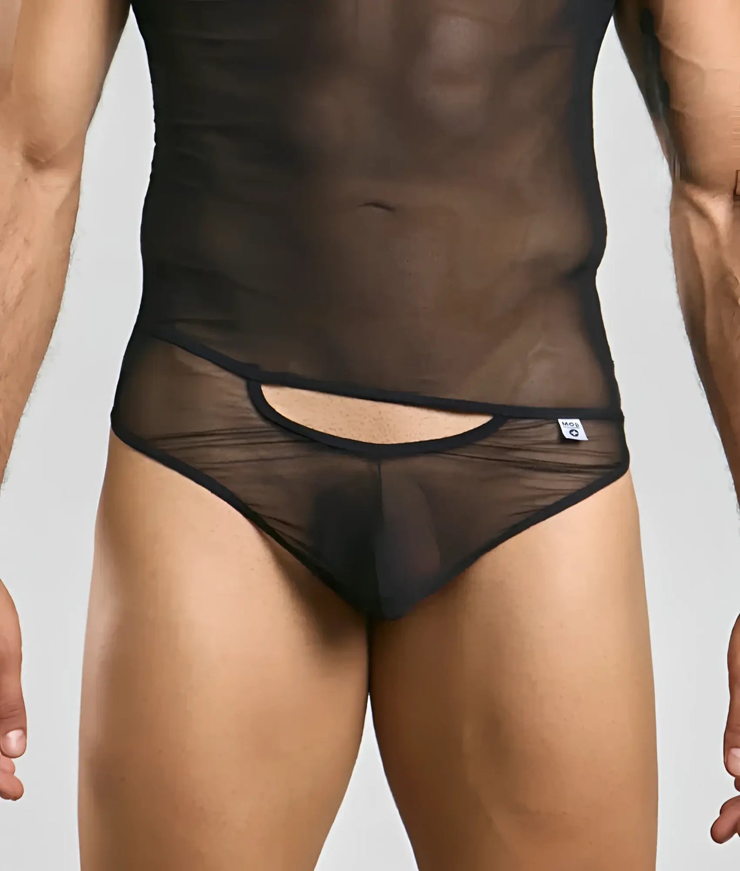 Black sheer mesh briefs with cutout design and elastic waistband from mob men’s sexy all over sheer body collection
