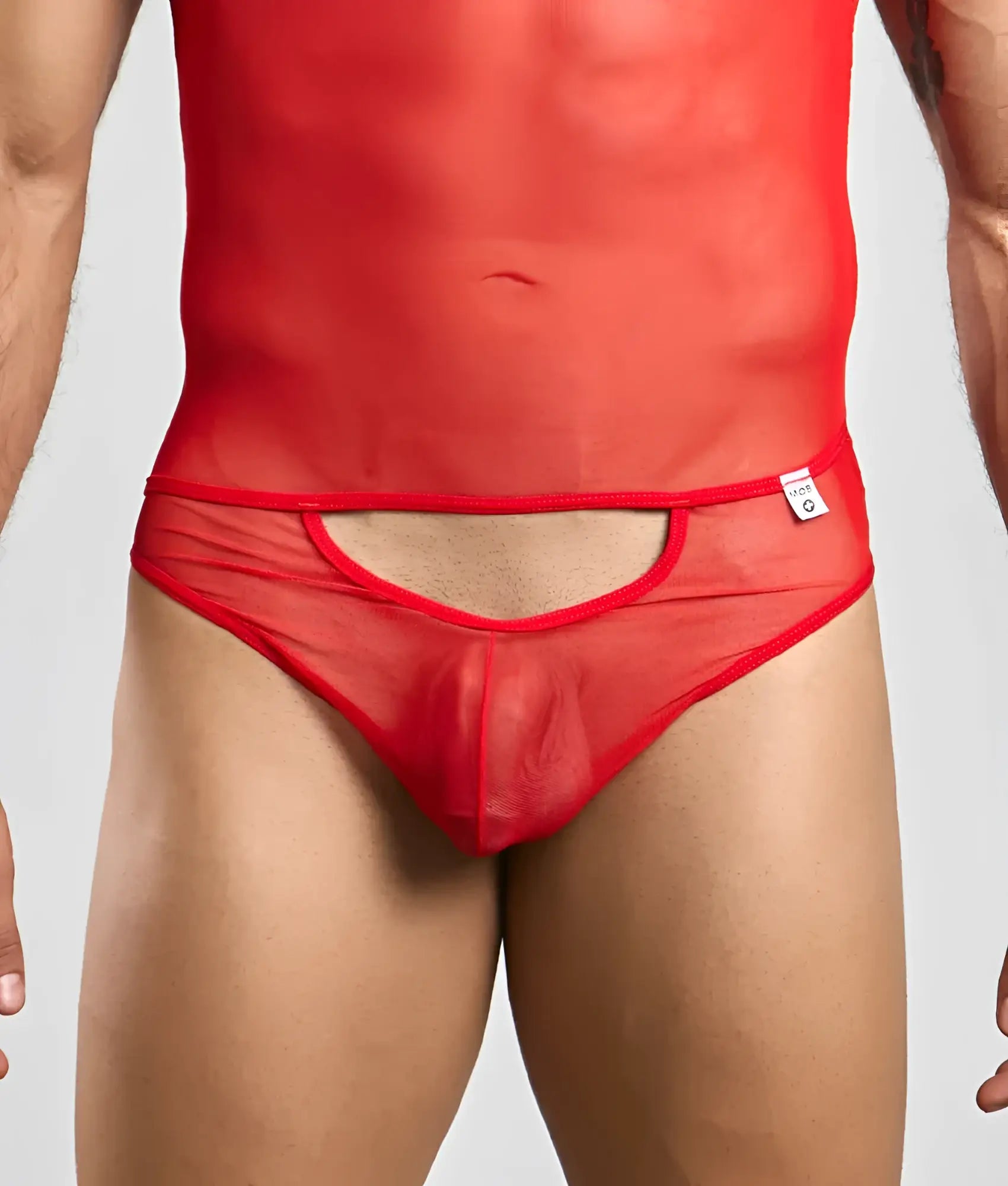 Mob men’s sexy all over sheer body red sheer mesh briefs with cutout design and red trim front view