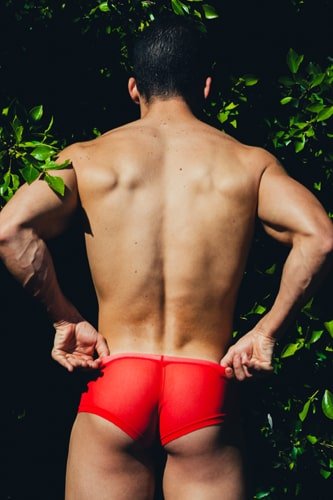 MOB Men's Sexy Sheer Hip Brief