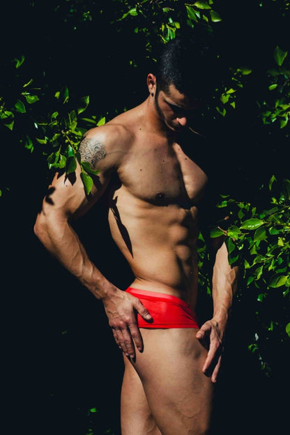 MOB Men's Sexy Sheer Hip Brief