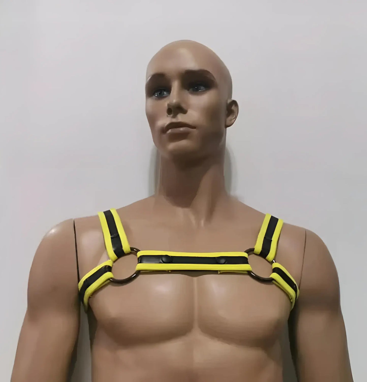 Yellow and black striped leather neoprene bulldog harness with metal rings for durable secure dog restraint