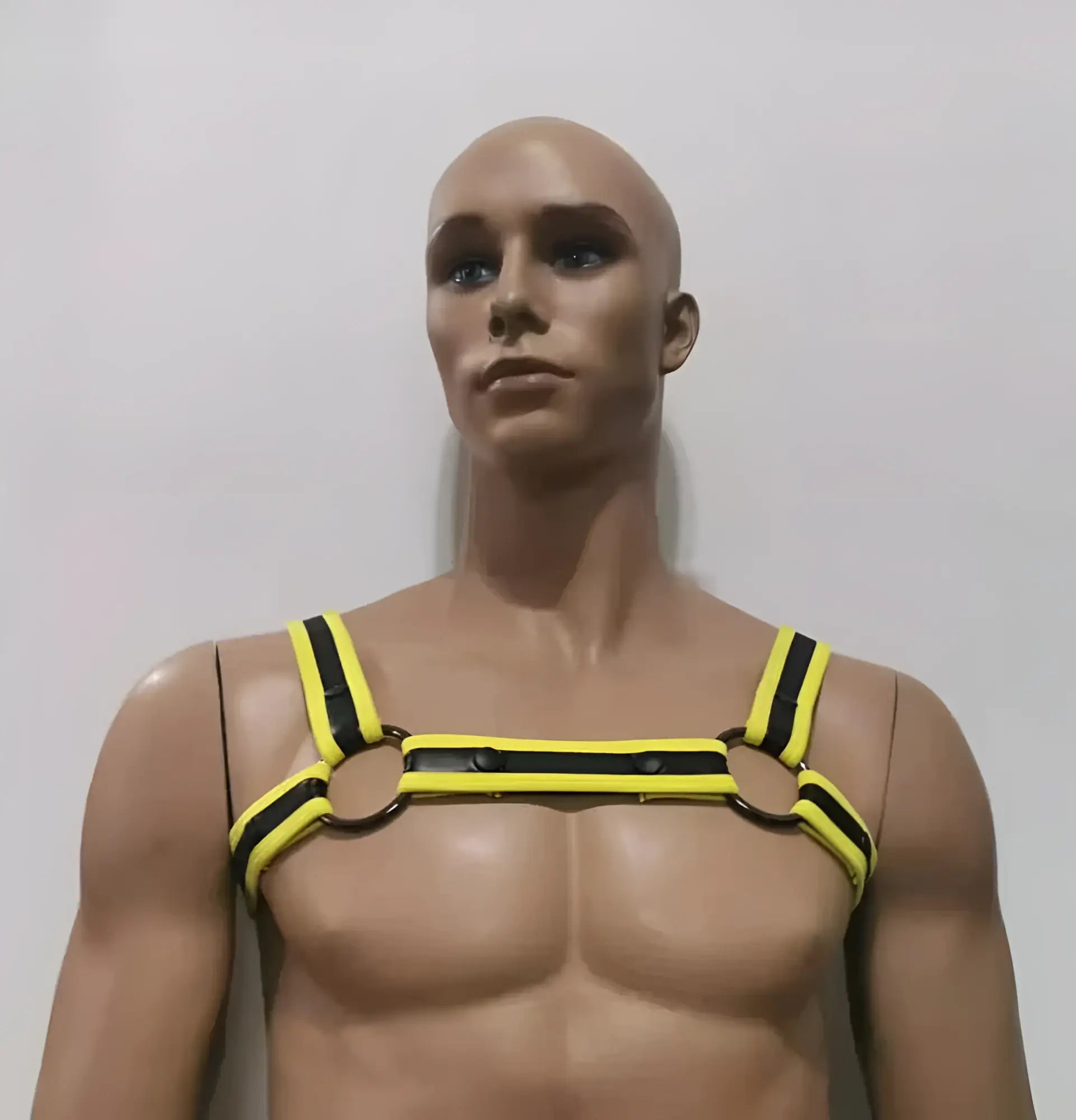 Yellow and black striped leather neoprene bulldog harness with metal rings for durable secure dog restraint