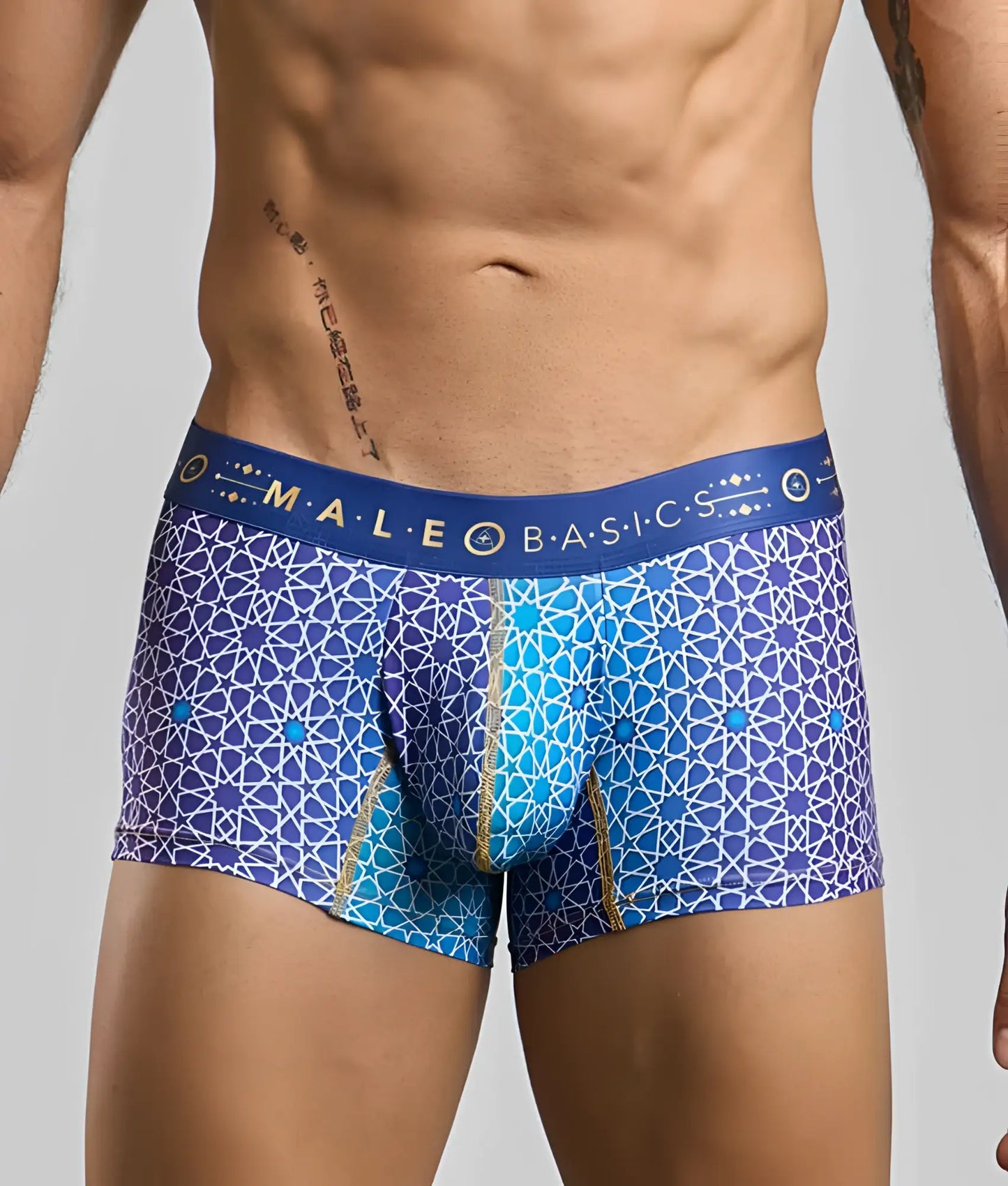 New malebasics trunk hipster blue and purple geometric patterned men’s boxer briefs with male basic waistband