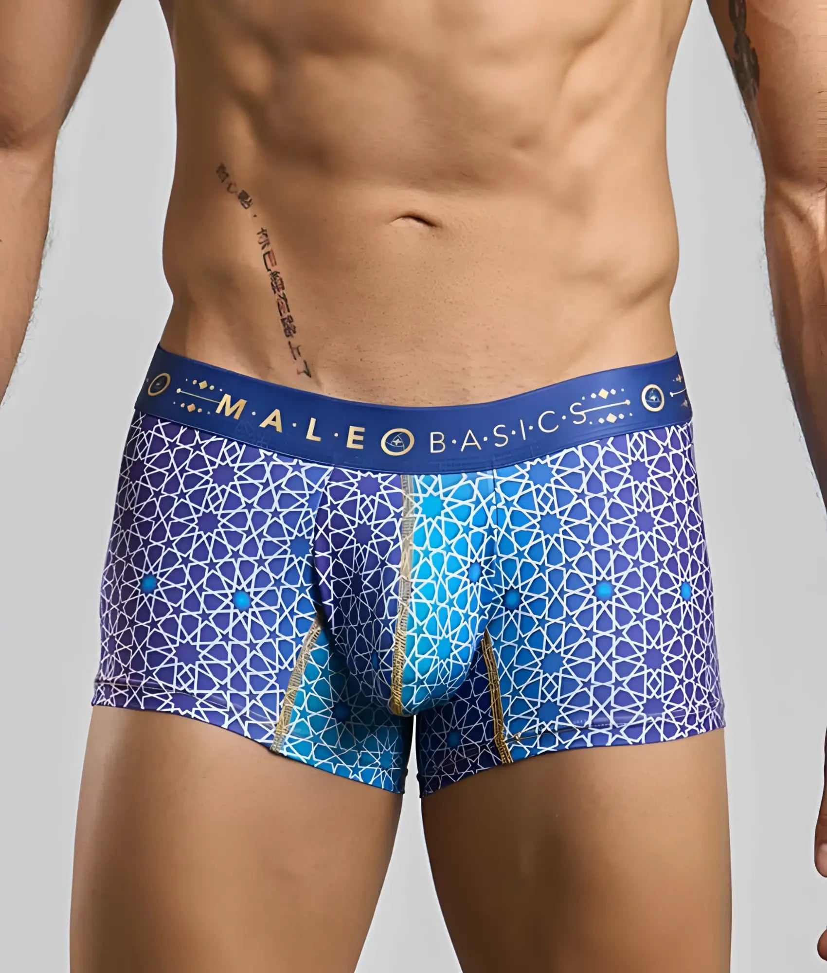 New malebasics trunk hipster blue and purple geometric patterned men’s boxer briefs with male basic waistband