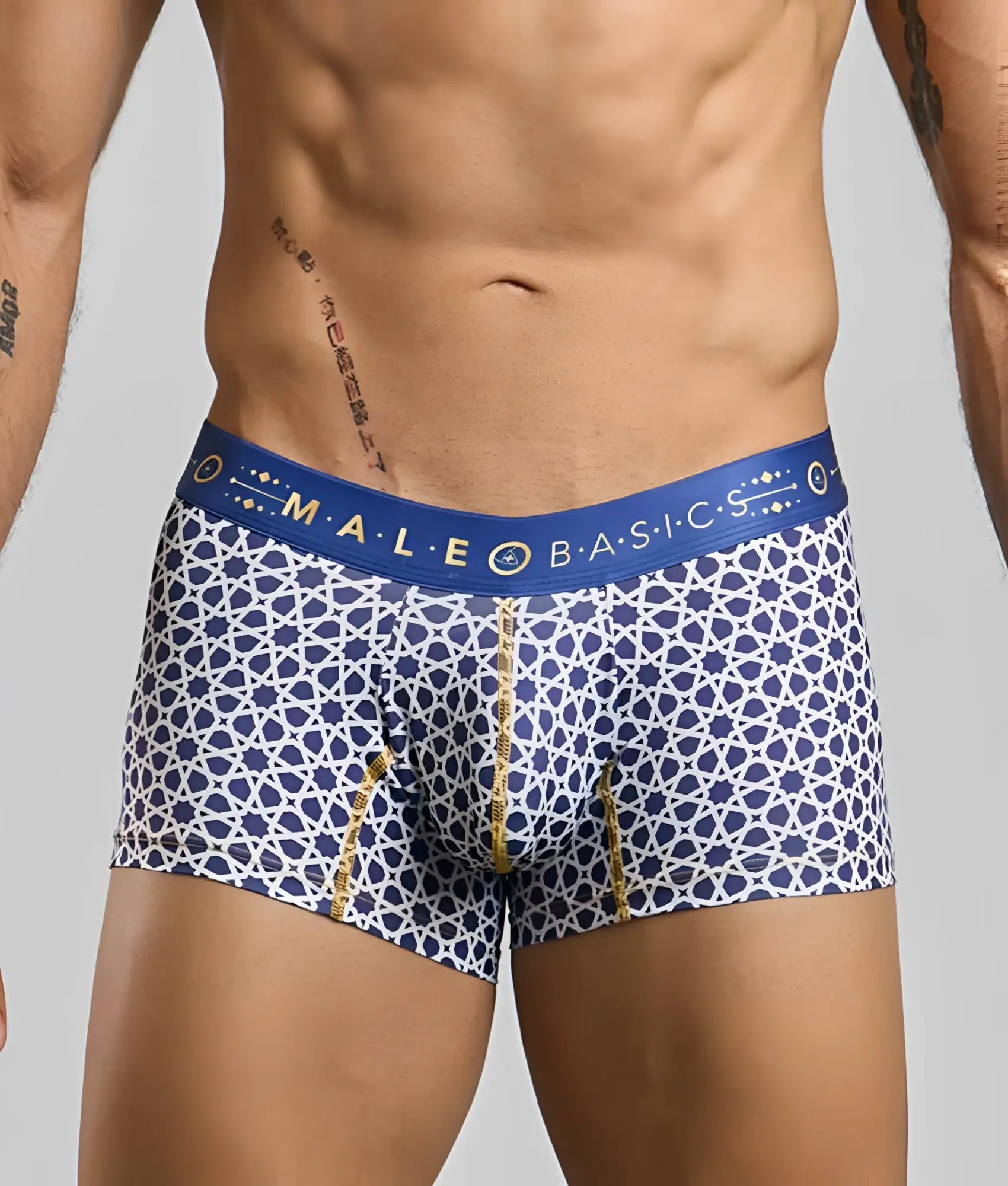 New malebasics trunk hipster blue and white patterned men’s boxer briefs with gold trim and branded waistband