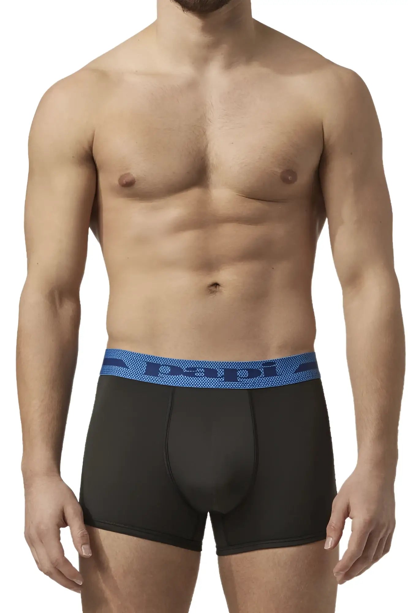 Black briefs with blue elastic waistband featuring papi logo microflex material in alloy black color