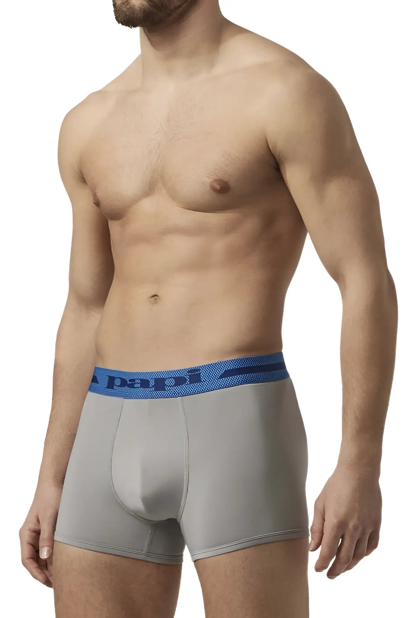 Gray papi boxer briefs with blue elastic waistband and logo in alloy black microflex fabric for comfortable wear