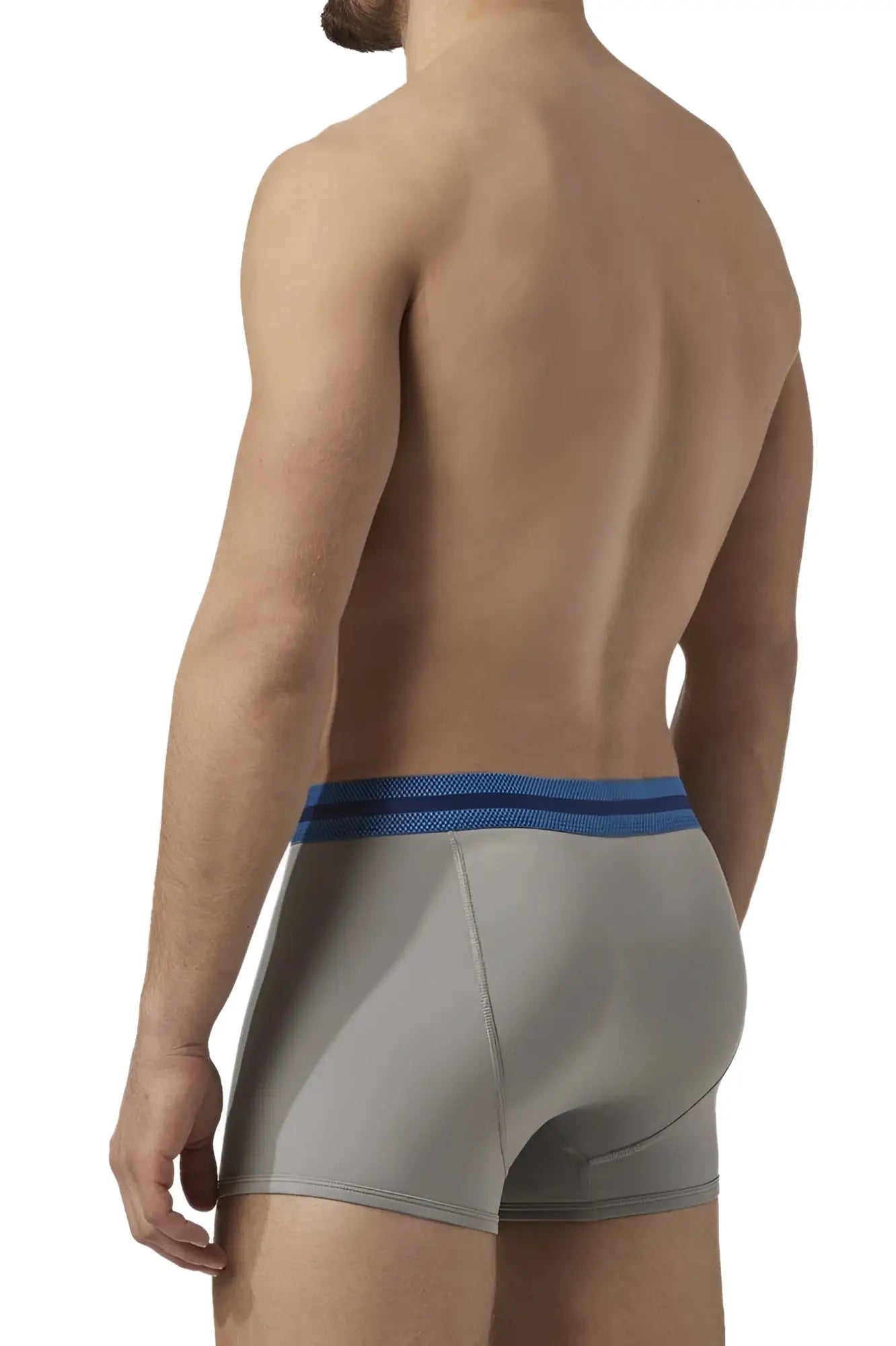 Gray men’s boxer briefs with blue mesh waistband from papi umpa080 2pk microflex brazilian trunks alloy-black
