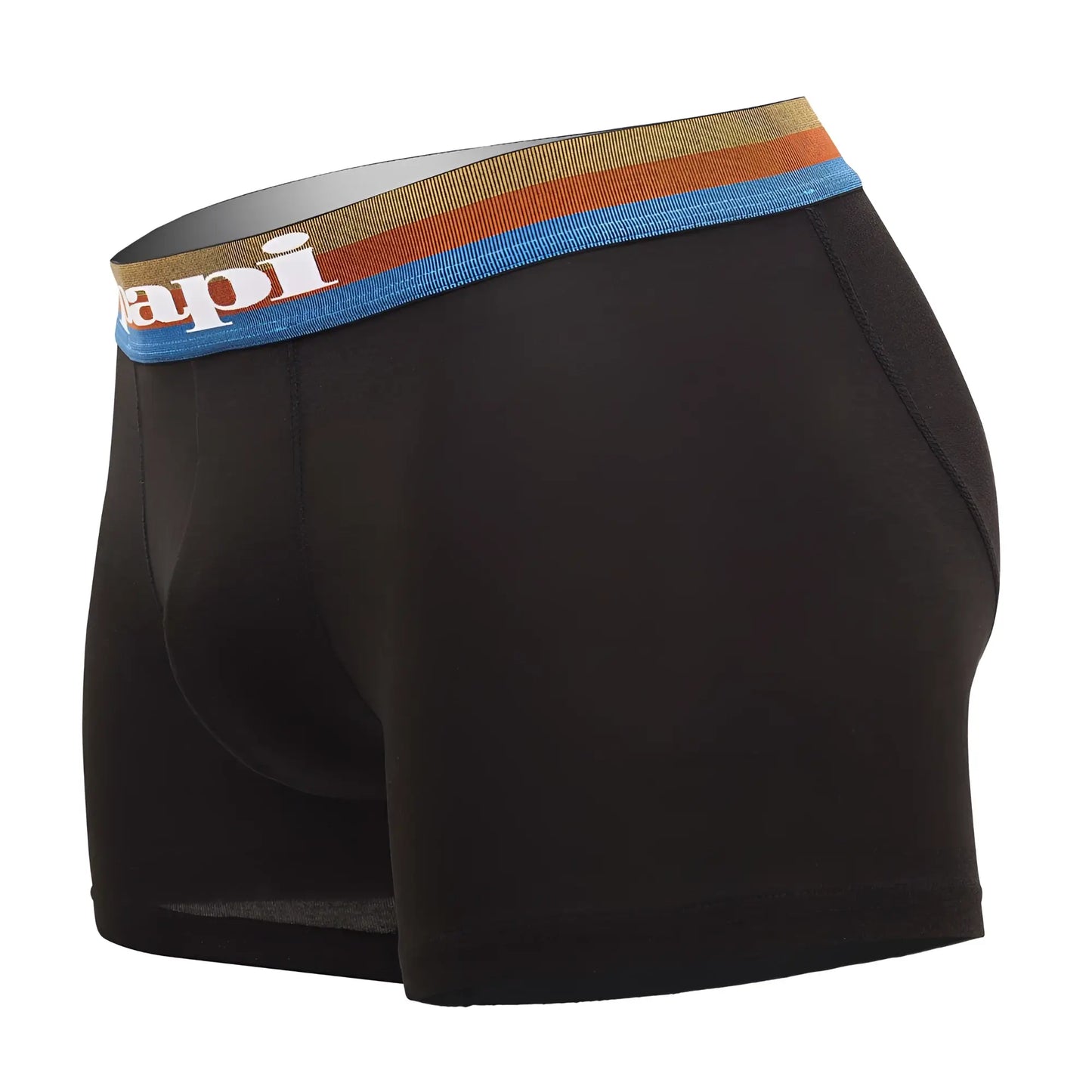 Black men’s briefs with a colorful striped waistband and api logo in white blue and black microflex boxer briefs