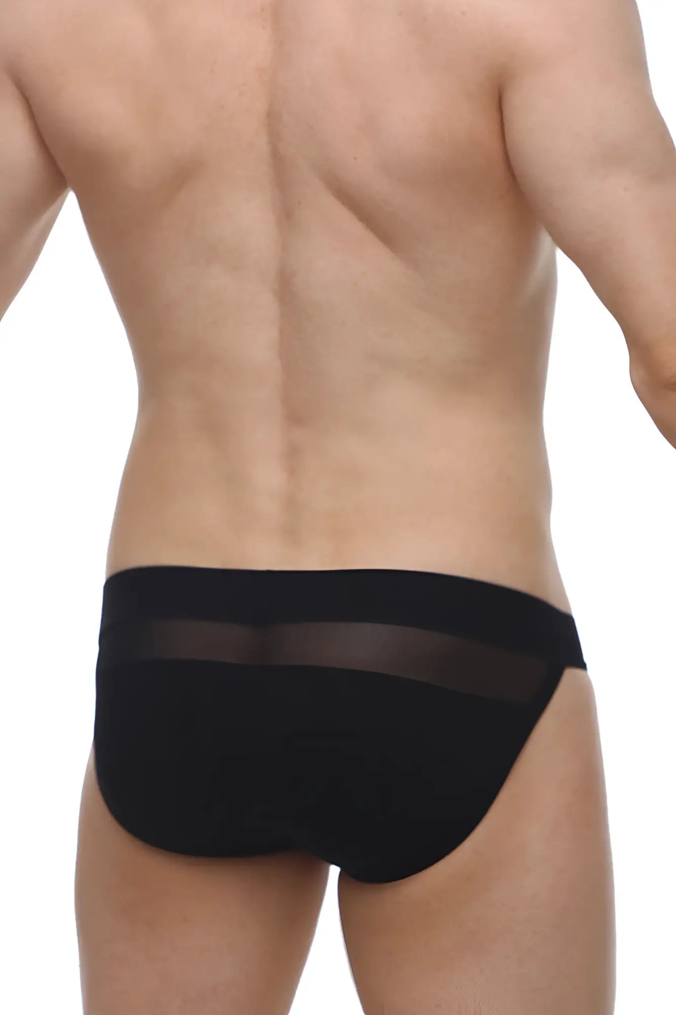 Black briefs petitq bikini pons black with a sheer mesh panel across the waistband in front view