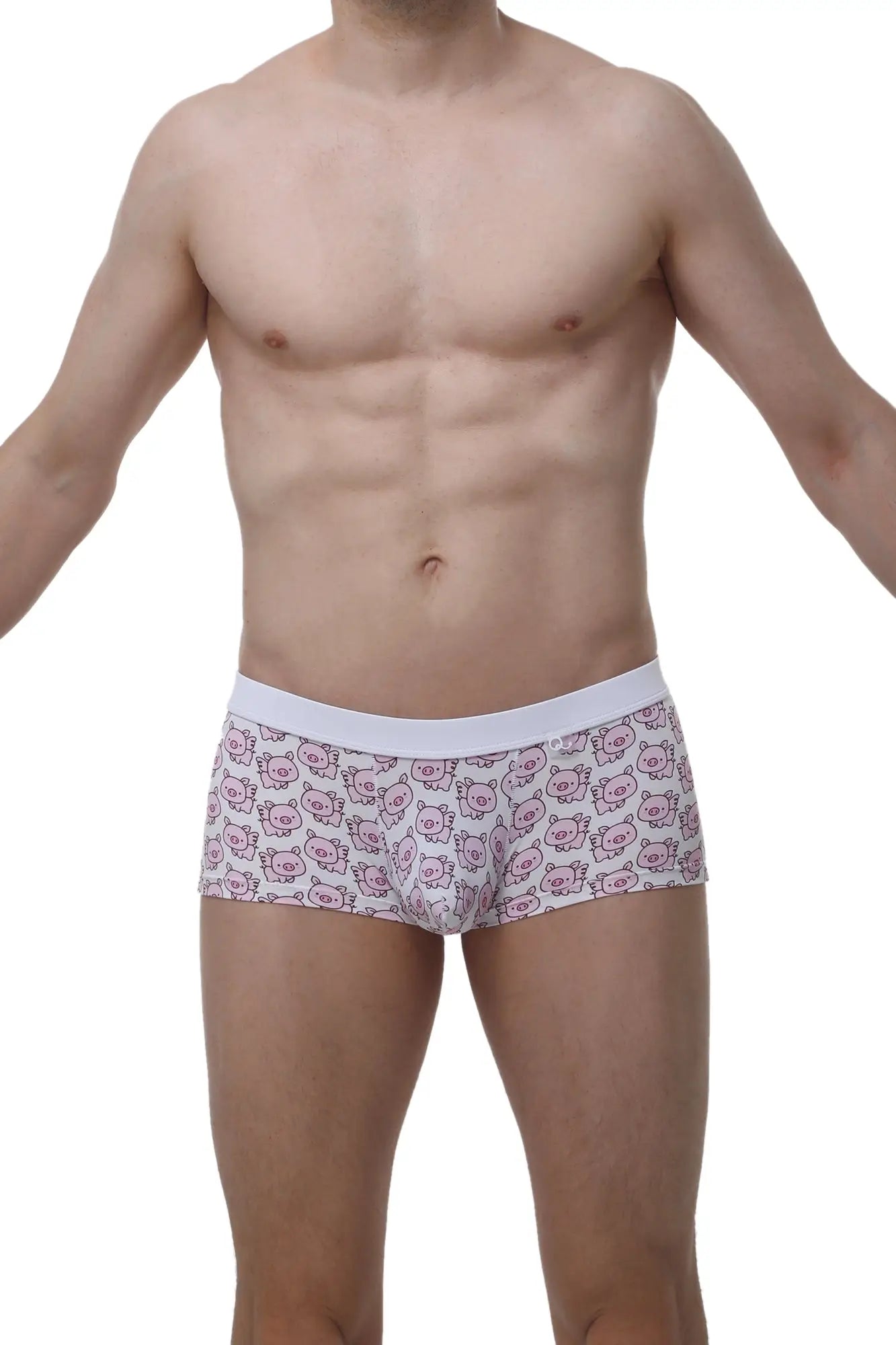 White briefs with a repeating pattern of pink cartoon pig faces from petitq boxer meljac piggy love collection