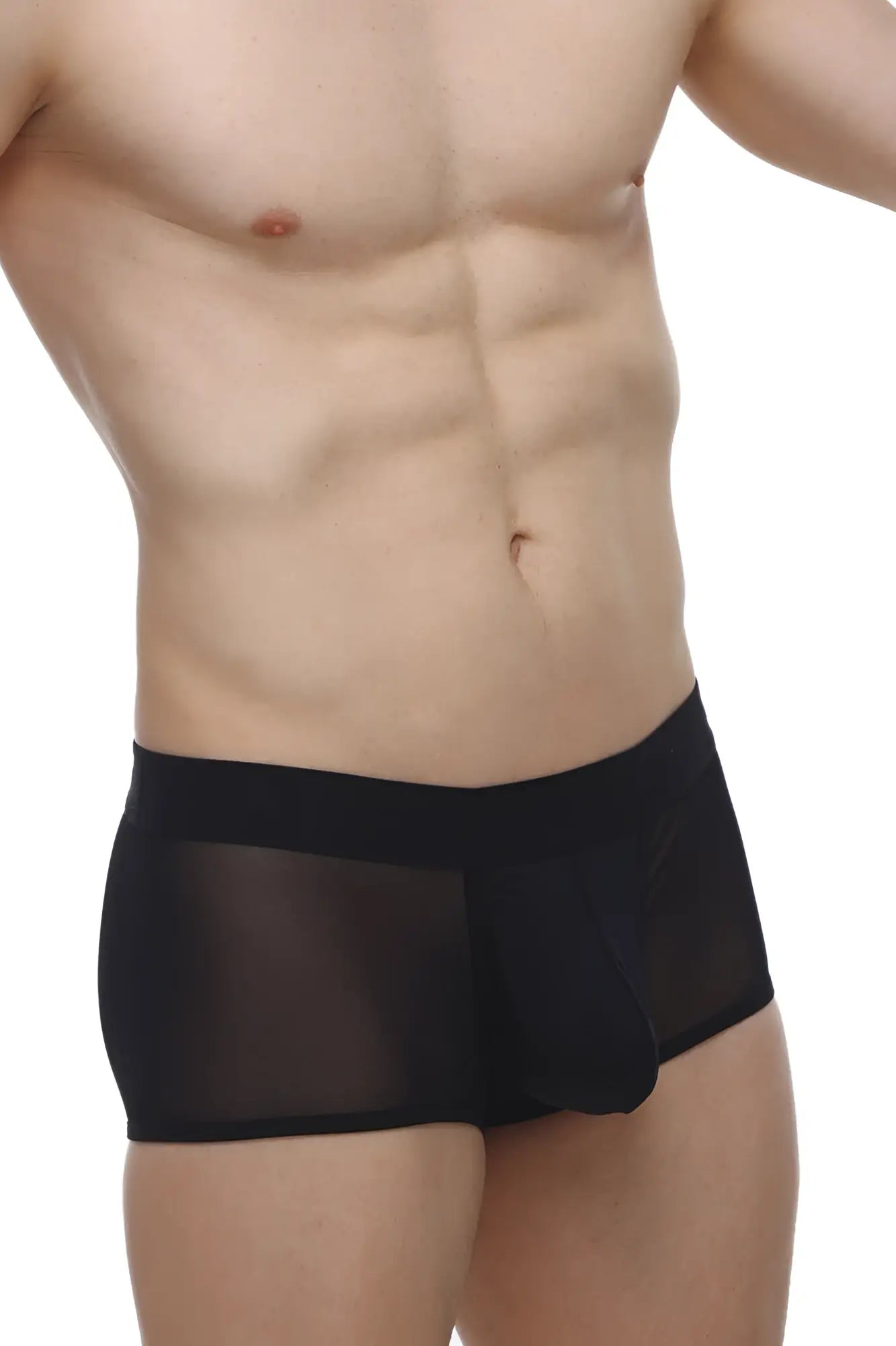 Petitq boxer oncieux black sheer mesh briefs with solid black waistband front view