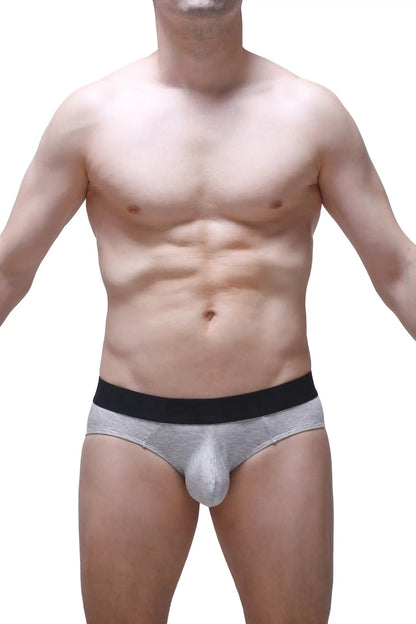 Gray men’s briefs with a black waistband made of modal fabric from petitq brief dome modal gray collection