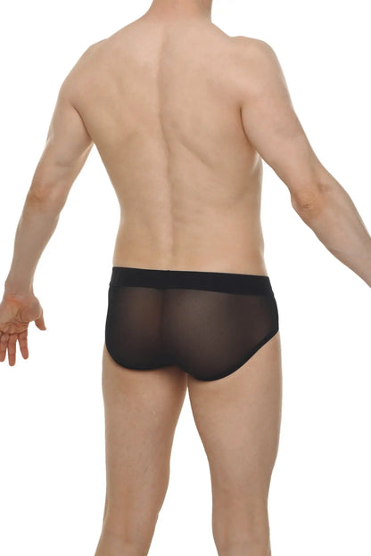 Black sheer mesh briefs lescar black with solid black waistband for comfortable everyday wear