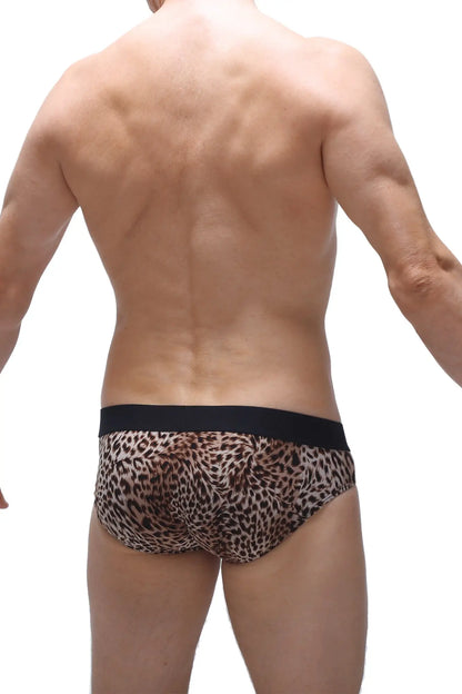 Petitq brief neure panthere leopard-print briefs with black elastic waistband in stretchy fabric
