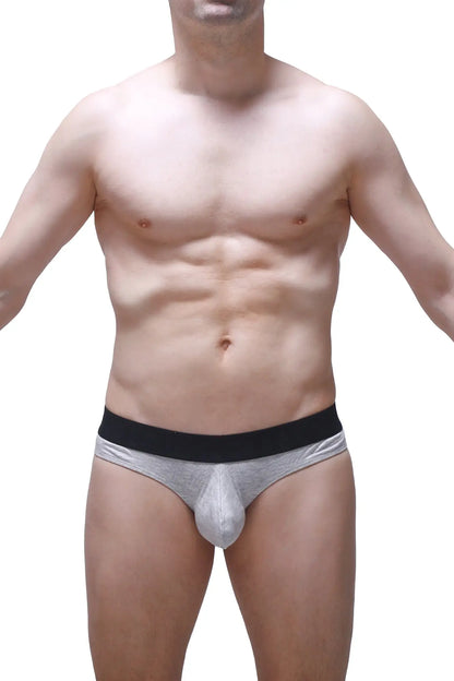 Silver metallic briefs with black elastic waistband made of modal fabric from petitq thong dome grey collection