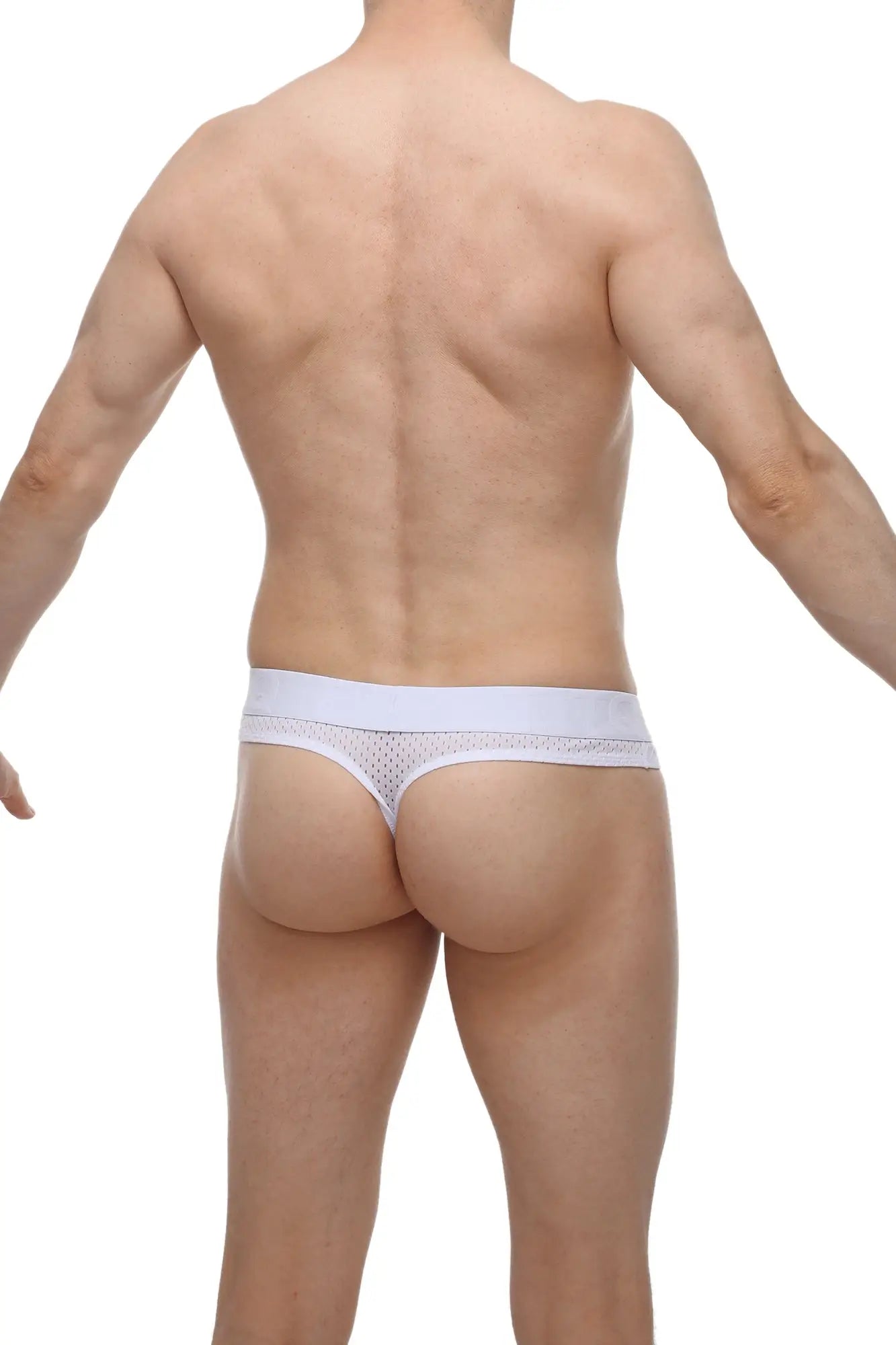 White mesh thong with solid waistband and built-in cockring by PetitQ in bee white color shown from the back side