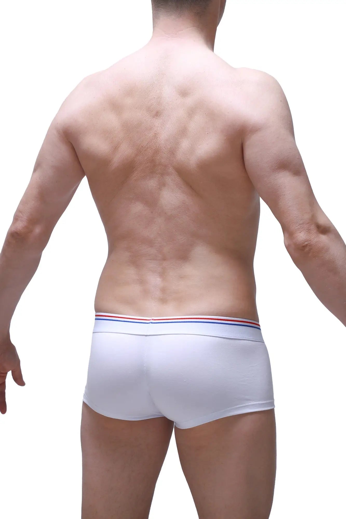 White briefs petitq trunk algun white with red white and blue striped elastic waistband for everyday comfort