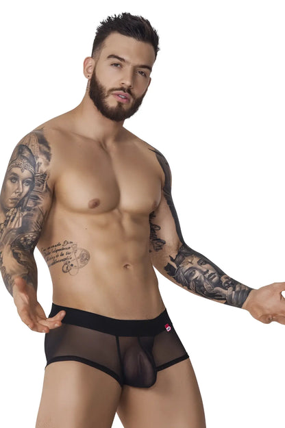 Black sheer mesh briefs by pikante pik 1090 burly mesh trunks with solid waistband and red logo on the side