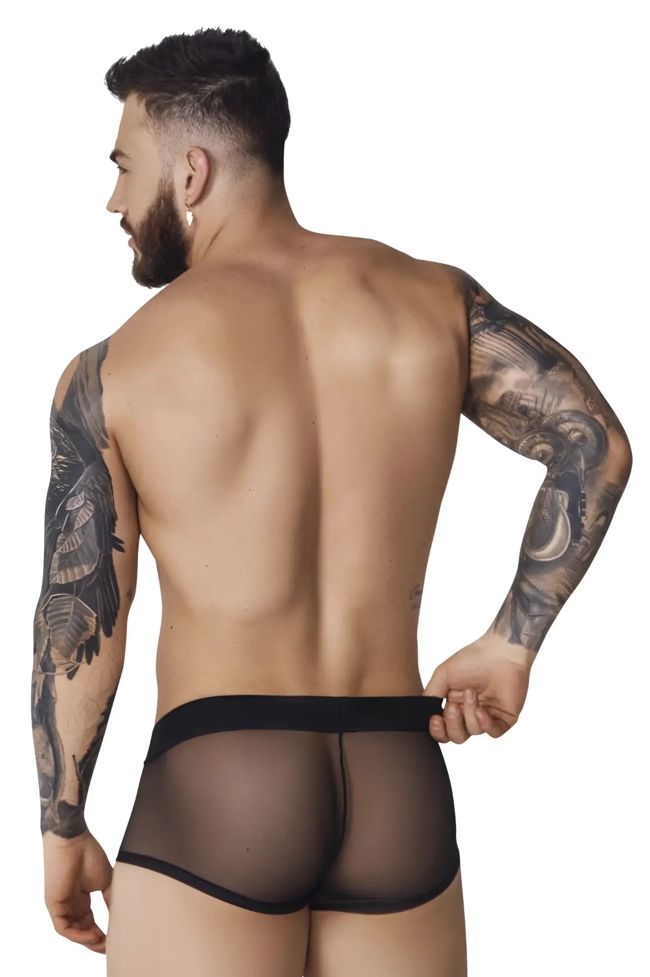 Black sheer mesh briefs with a solid waistband from pikante pik 1090 burly mesh trunks in black