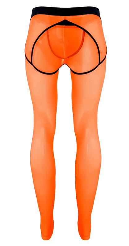 Bright orange sheer tights with black elastic waistband and outlining trim from Pikante PIK 1271 Sonar Athletic Pants