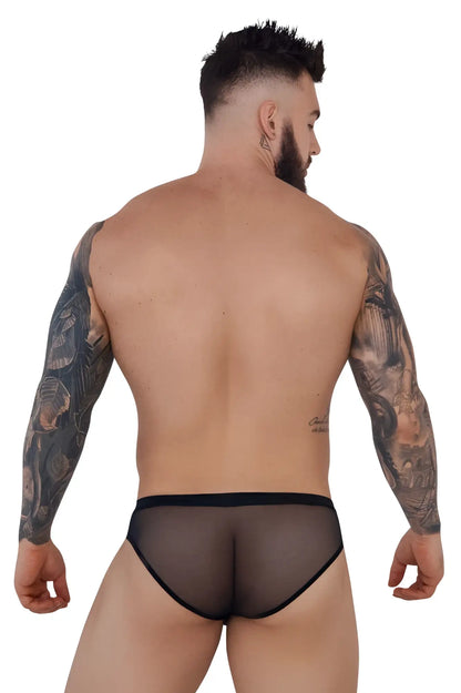Black sheer mesh Pikante PIK 1289 Itadaki briefs with solid black elastic waistband shown from the front