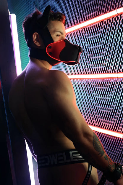 Black and red leather cat ear muzzle Poundtown Pup Mask 2.0 designed for pup play and cosplay use