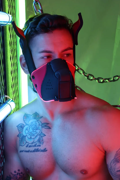 Black and red leather muzzle with devil horns poundtown pup mask 2.0 for cosplay or role play