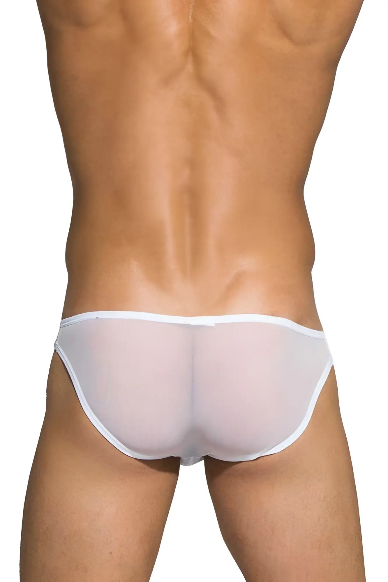 White sheer mesh briefs with solid white waistband low rise bikini by private structure in color white