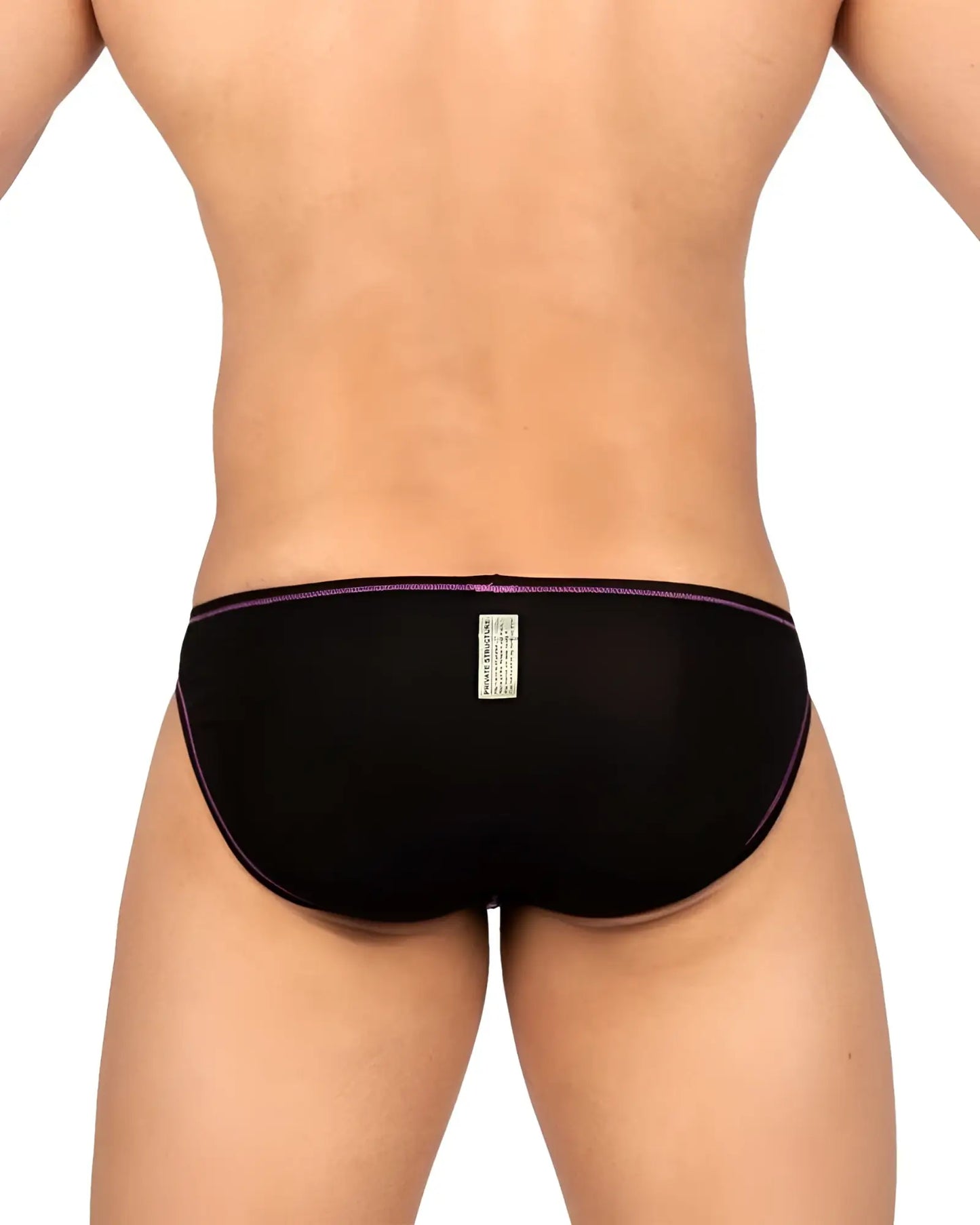 Black private structure epus4563 prime eutopia bikini brief with subtle purple trim on charcoal fabric