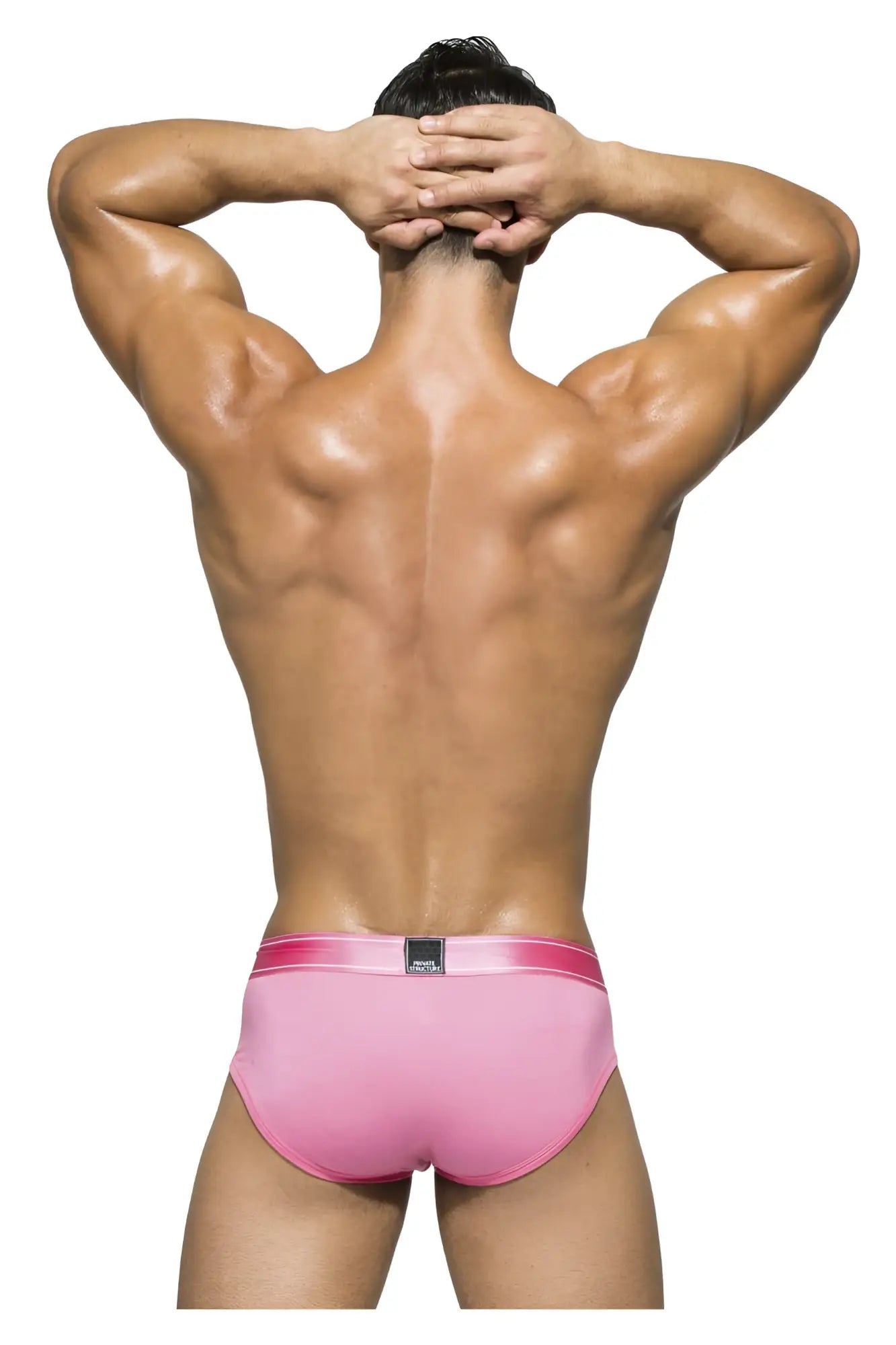 Pink satin briefs with matching elastic waistband private structure pbuZ3748 platinum bamboo contour briefs blush