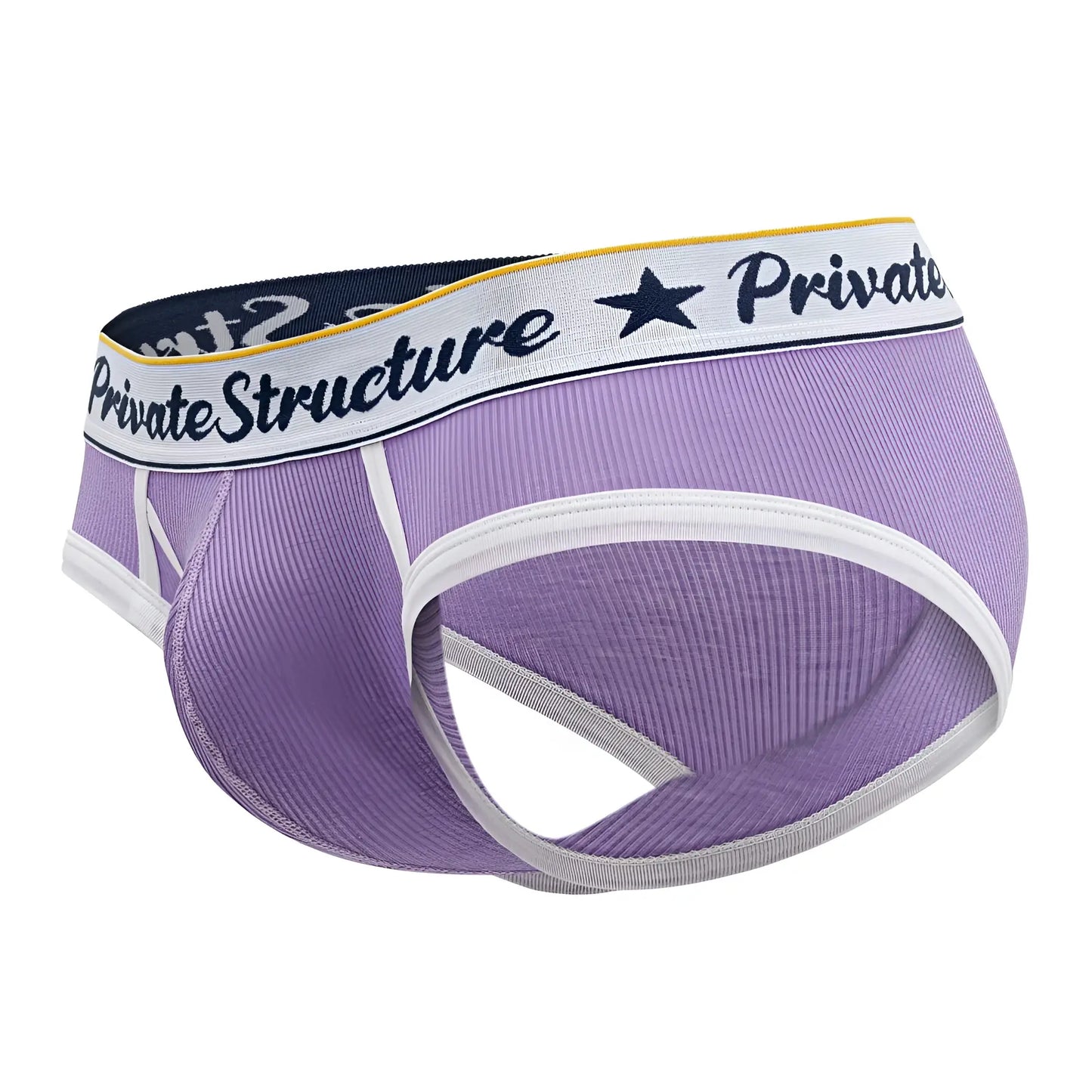 Purple ribbed men’s briefs with white trim and private structure waistband classic mid waist mini briefs