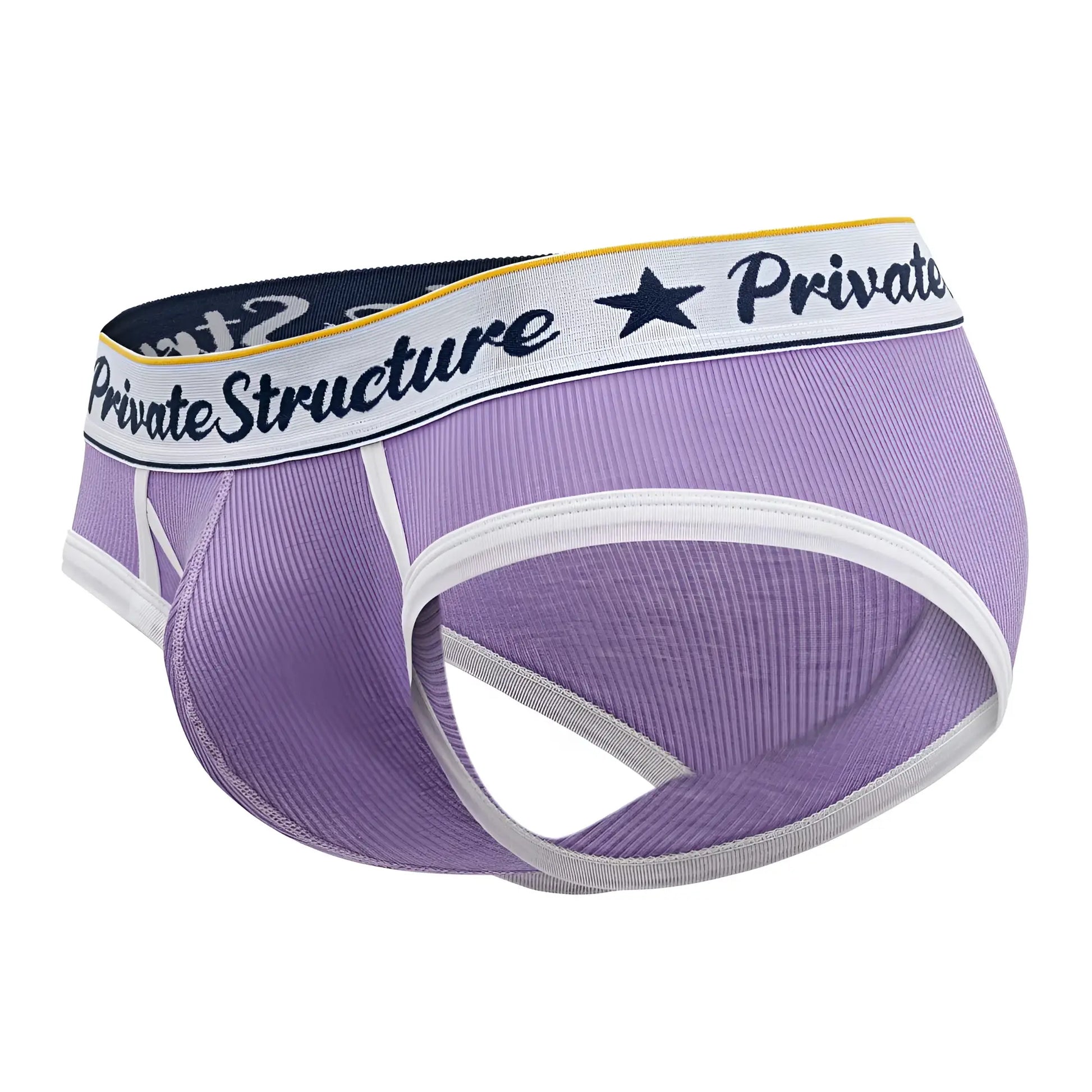 Purple ribbed men’s briefs with white trim and private structure waistband classic mid waist mini briefs