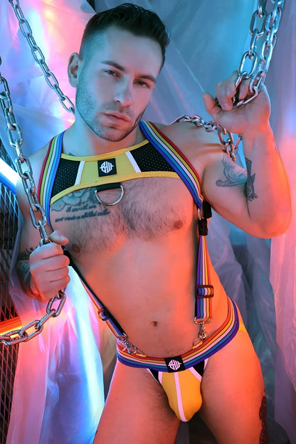 Rainbow-striped harness and briefs set with metallic chain accents from retro remix collection