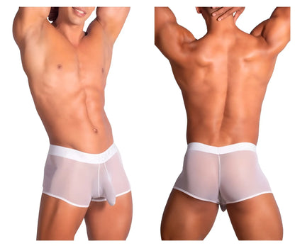 Roger smuth rs072 trunks in white sheer mesh briefs with white elastic waistband and a small matching pouch