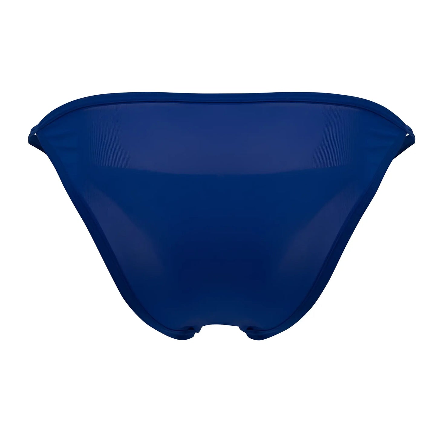 Deep blue sheer mesh bikini bottom with sleek minimalist design from roger smuth rs084 bikini color royal blue