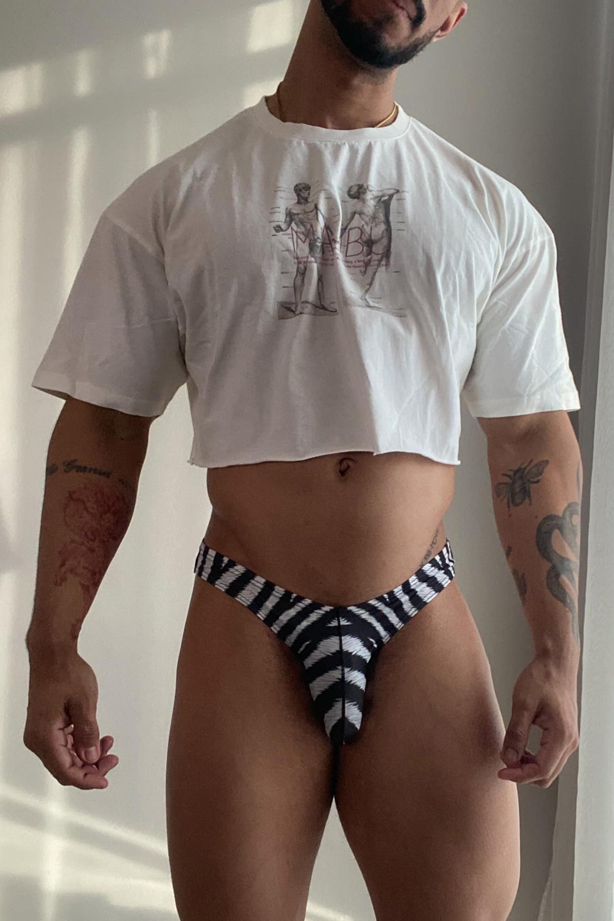 JJ Malibu Men's Men's Slimmer Bulge Briefs - Zebra Print