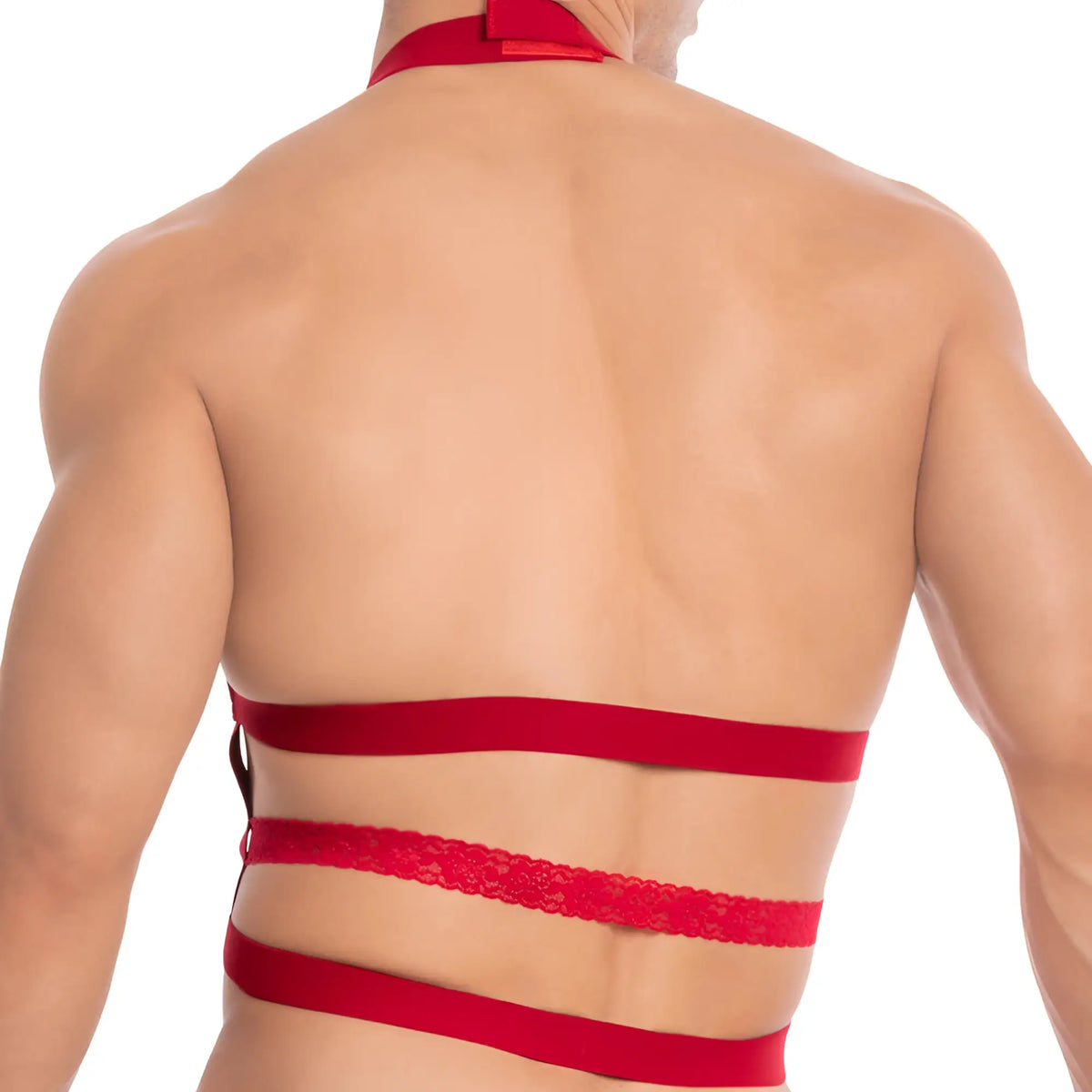 Red lace and satin strap harness from secret male sma019 tops and bras featuring intricate detailing