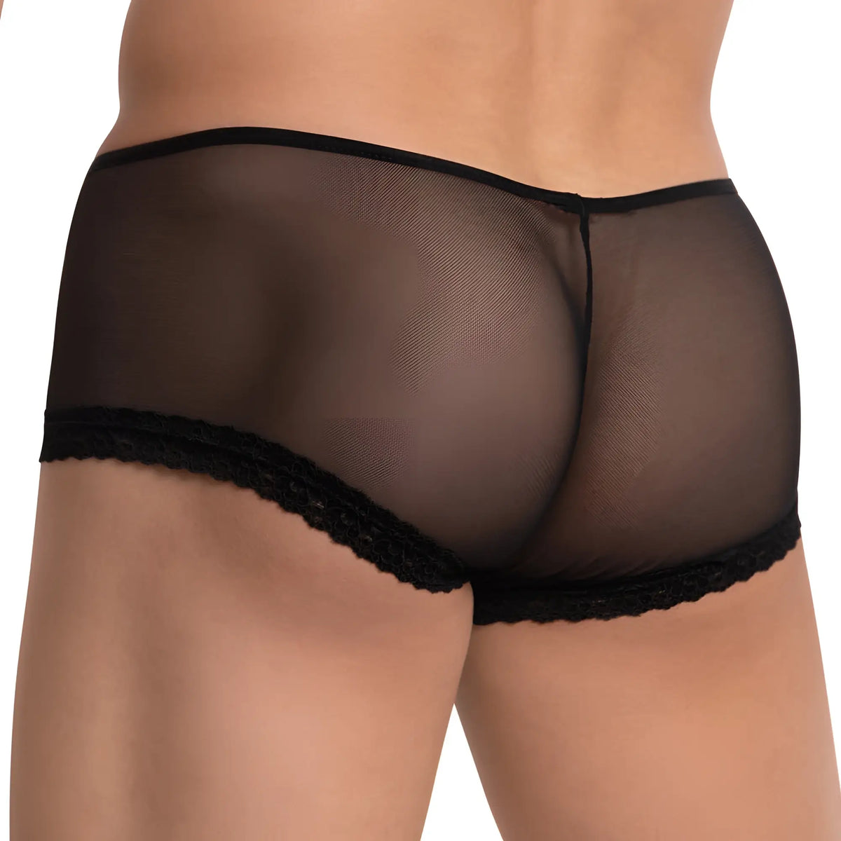 Black sheer mesh briefs with black lace trim for men secret male smi039 bikini brief front view