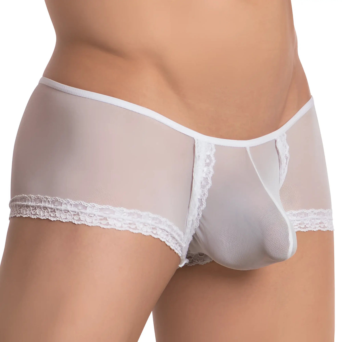 White lace-trimmed mesh briefs secret male smi039 bikini brief showcasing delicate lace and breathable mesh fabric