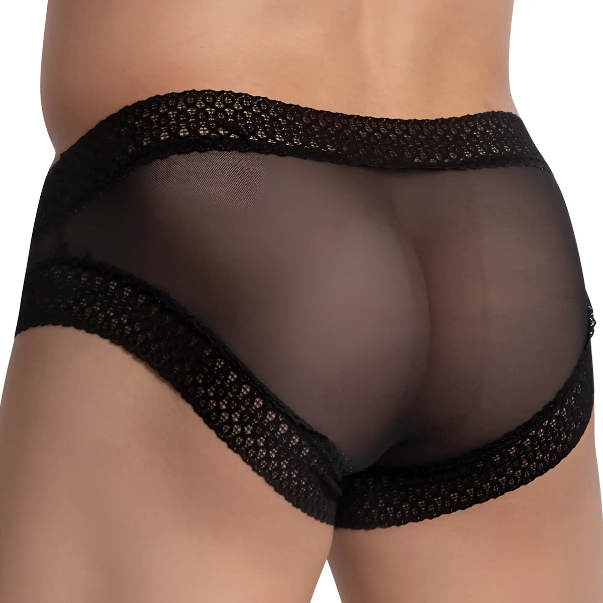 Black sheer mesh briefs secret male smi055 bikini brief with intricate lace trim on waistband and leg openings
