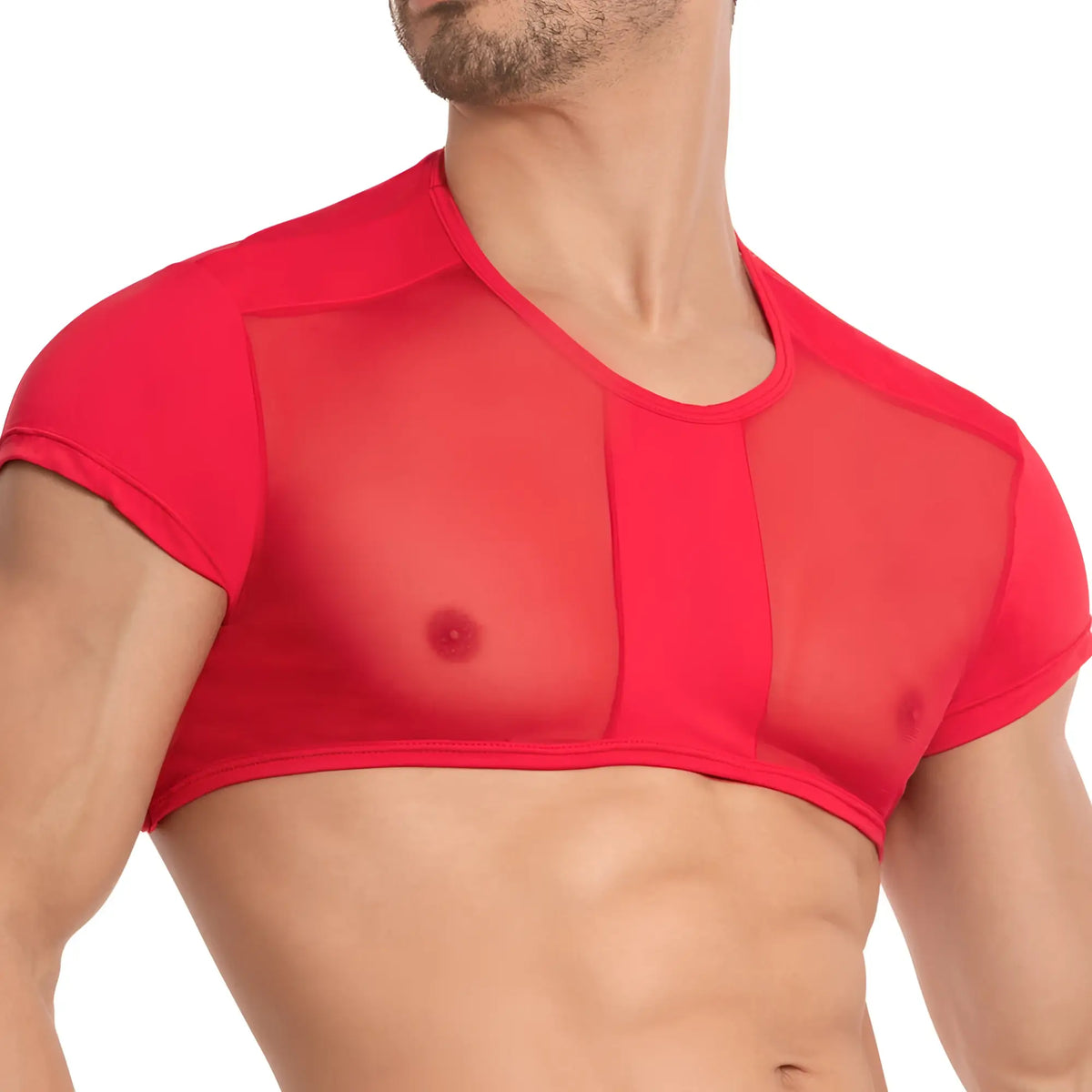 Red sheer mesh top with short sleeves and rounded neckline from secret male smw002 tops and bras collection