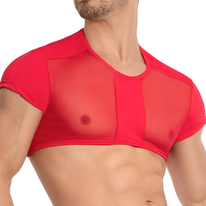 Red sheer mesh top with short sleeves and rounded neckline from secret male smw002 tops and bras collection