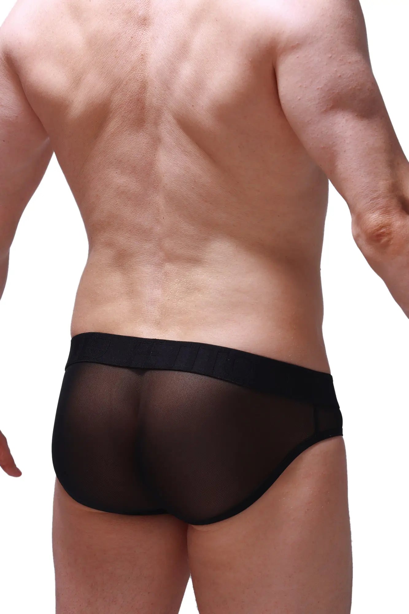 Black sheer mesh briefs slip marsol tropical with solid black elastic waistband for comfortable everyday wear