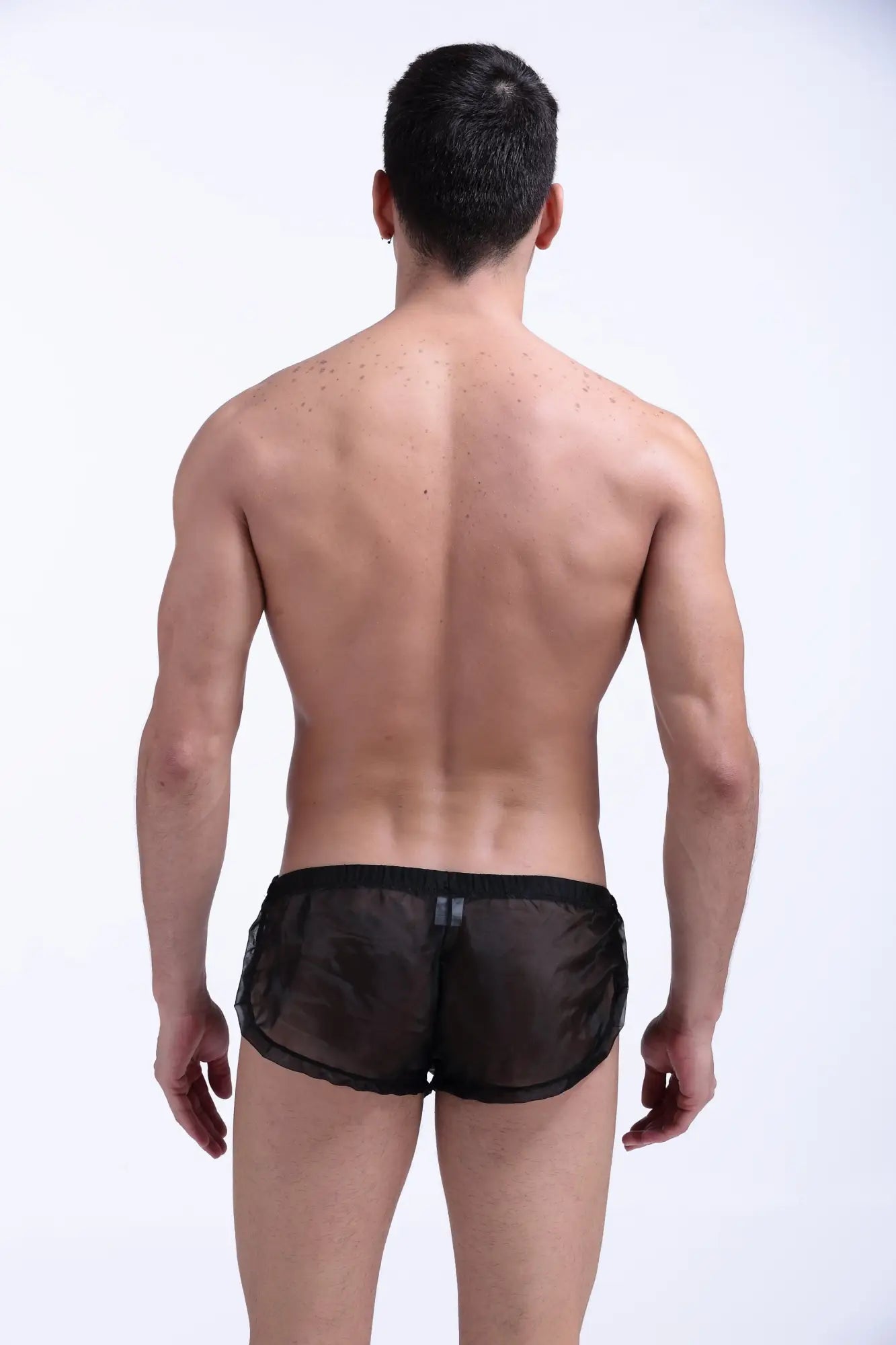 Snap shorts petitq black black sheer mesh briefs with solid black waistband and subtle vertical seam detail front view