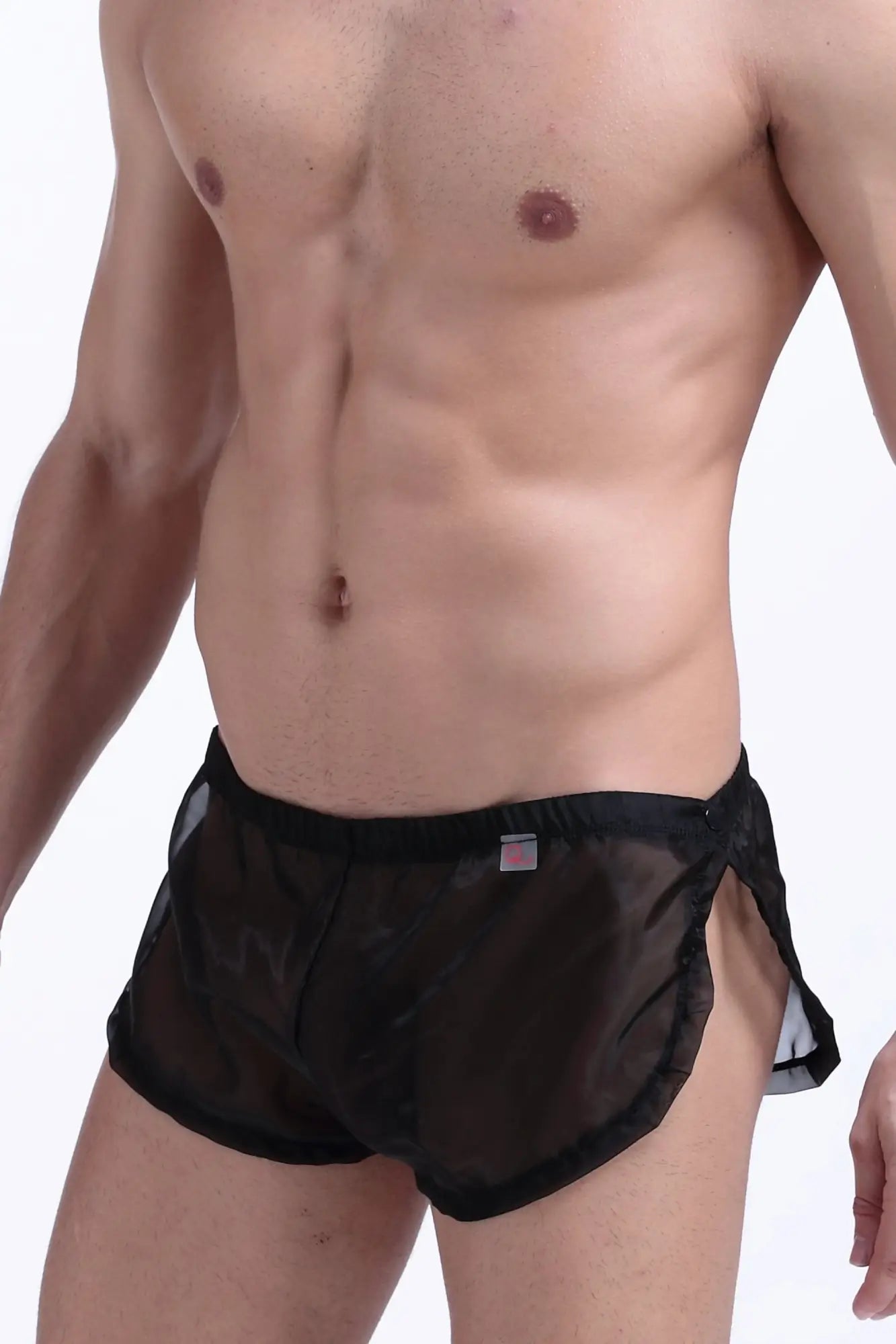 Black sheer mesh snap shorts petitq with solid waistband and side slits designed for comfortable wear