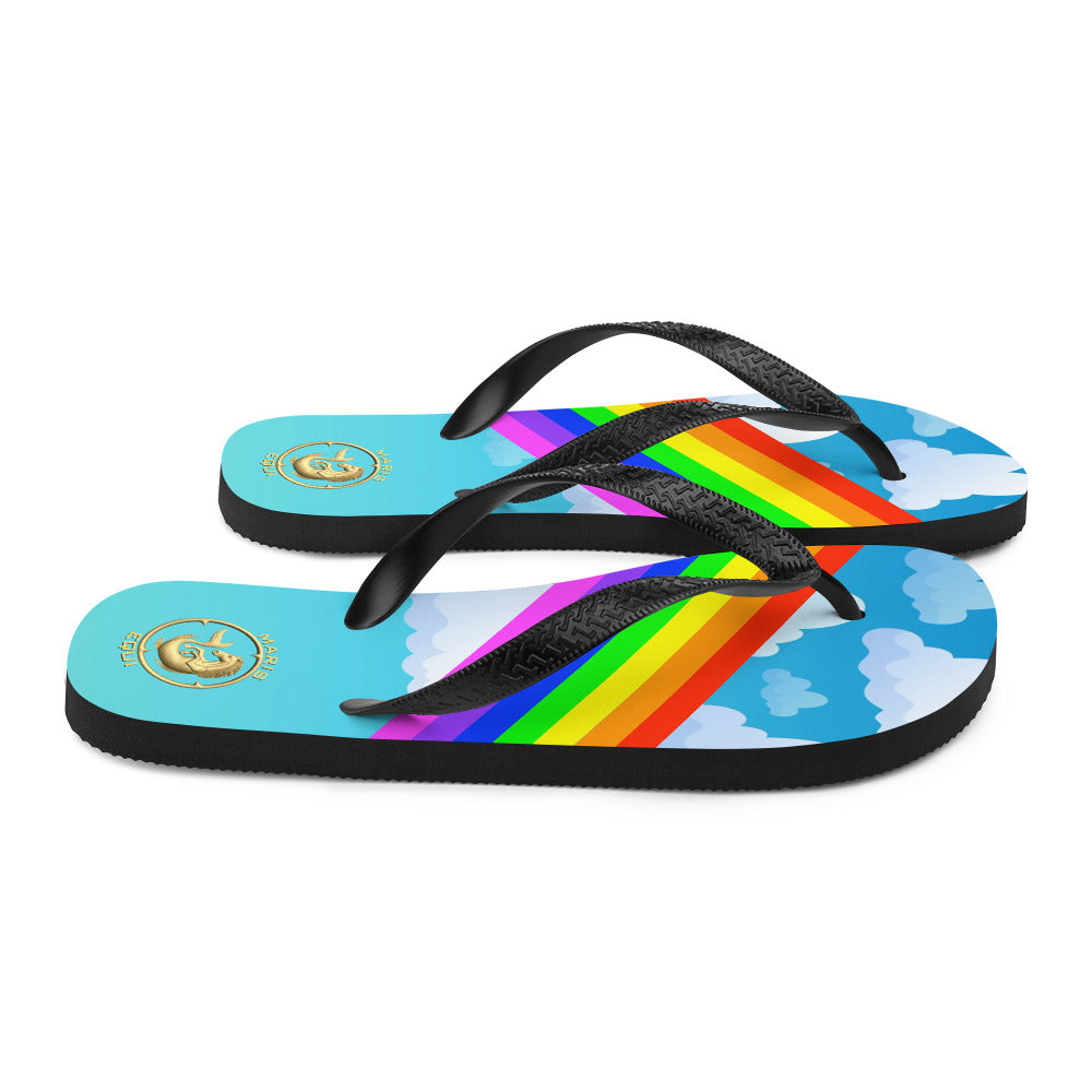 Maris Equi Men's Rainbow Flip-Flops